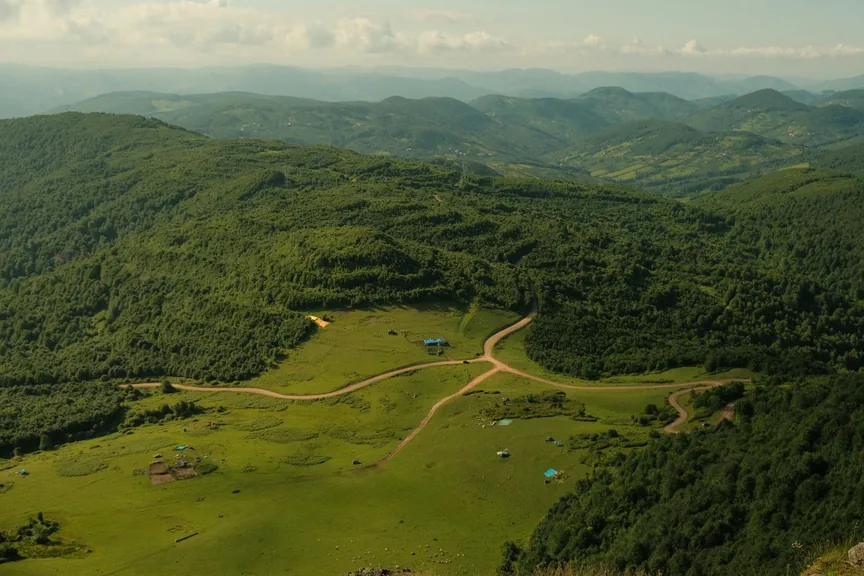 Ordu konum haritasi