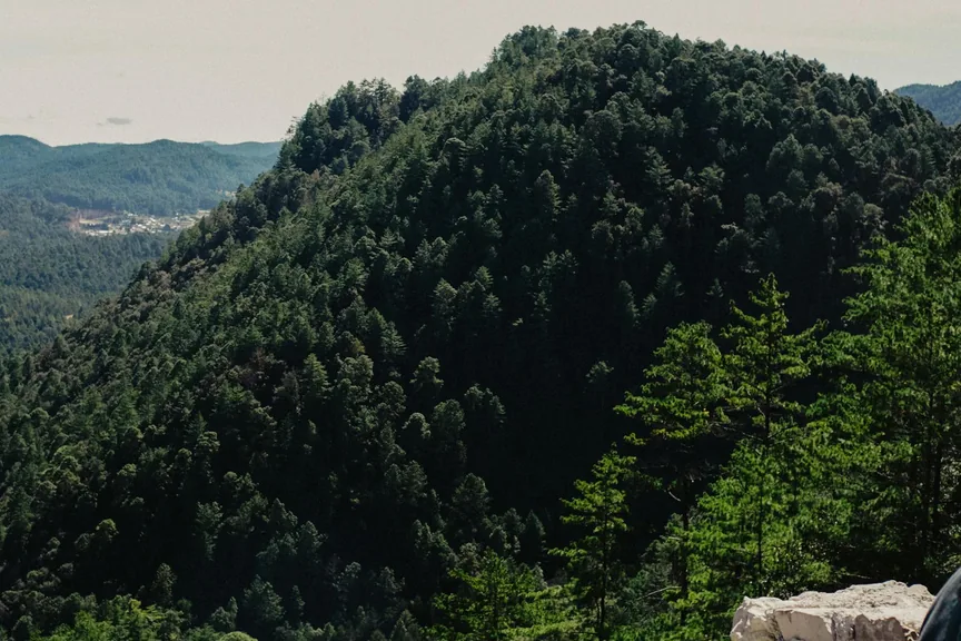 Çamlıhemşin Rize ilcesi genel gorunum
