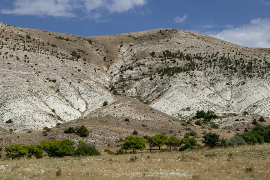 Sivas konum haritasi