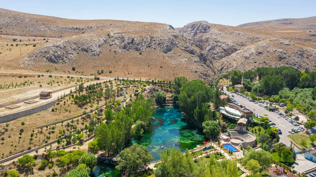 Şarkışla Sivas konum haritasi