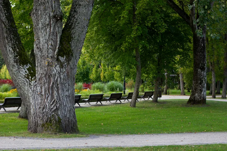 Çorlu Tekirdağ ilcesi genel gorunum